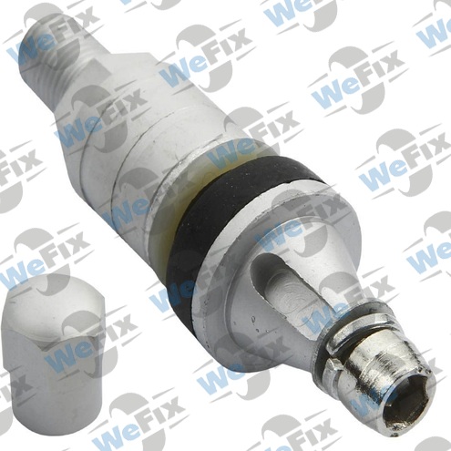 Вентиль TPMS-09 алюмінієвий під датчик тиску BMW, Hyundai, Kia, Mazda, Mercedes, Volvo